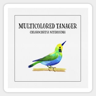 Birdies IV: Multicolored Tanager Sticker